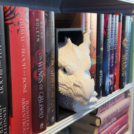 Cloud Dragon Book Nook