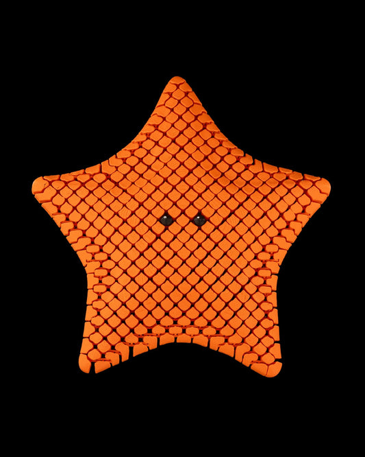 3D Printed Flexi Starfish Fidget Toy – Sensory Stress Relief Toy | Soothing & Addictive | Gift for Kids & Adults
