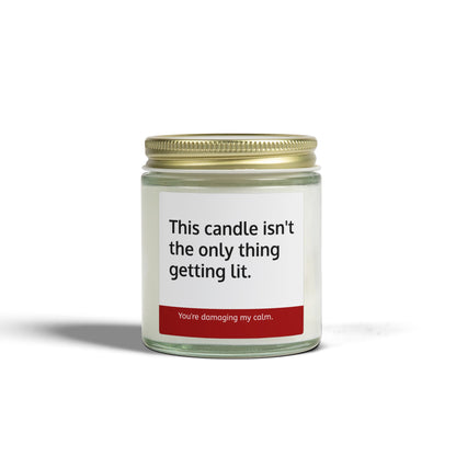 Not the Only Thing Getting Lit Sarcastic Candle - 9 Available Scents Novelty Jar Candle (4oz/9oz)