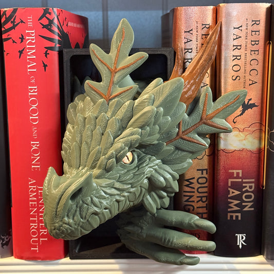 Forest Dragon Book Nook