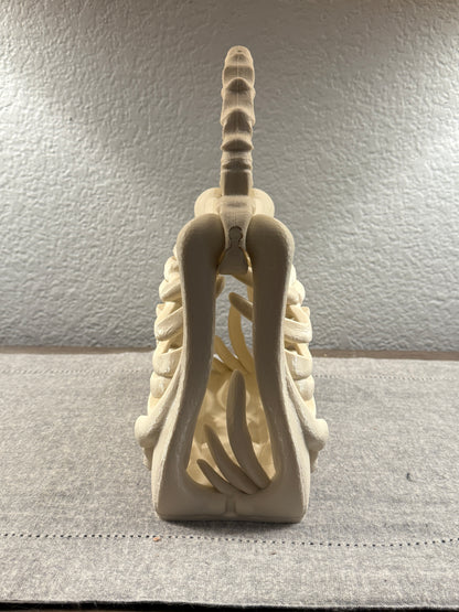 The Bone Bag - Halloween Spooky Purse | Ribcage Novelty Purse for Costume