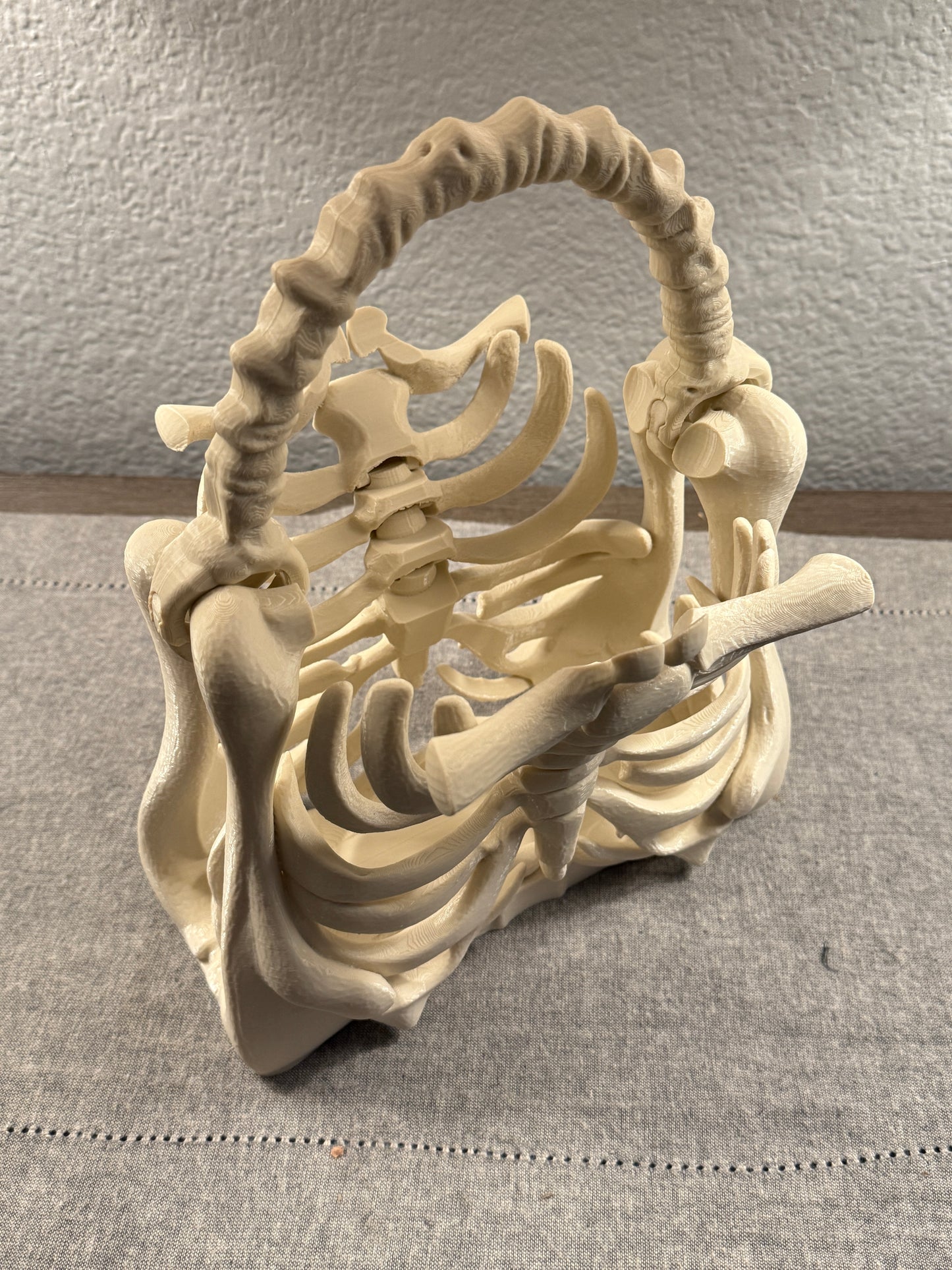 The Bone Bag - Halloween Spooky Purse | Ribcage Novelty Purse for Costume